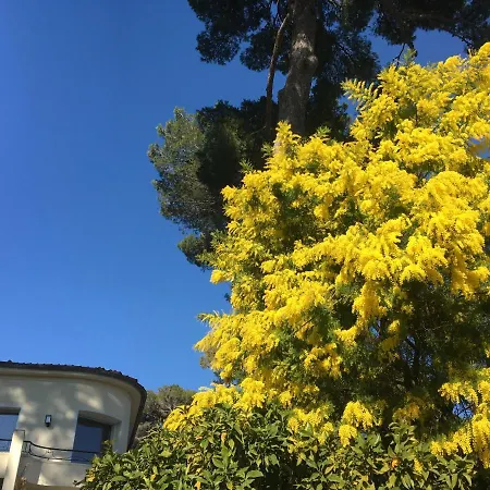 Villa Clair Matin - - Sea View - Pool - Sauna - *