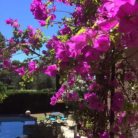 Vila Clair Matin - - Sea View - Pool - Sauna -