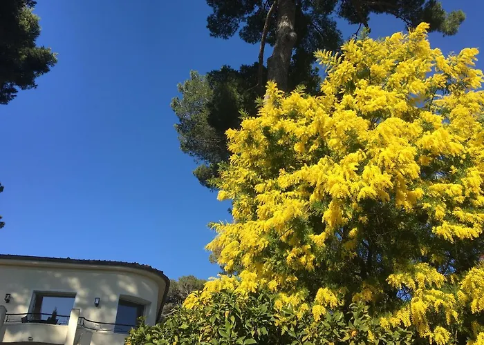 别墅 Clair Matin - - Sea View - Pool - Sauna - *